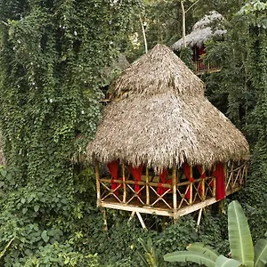Dominican Tree House Village 2*, El Valle Repubblica Dominicana